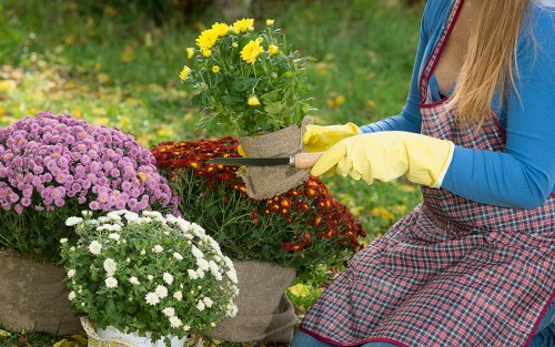 Gardener inspecting a garden boundary and neighbouring property