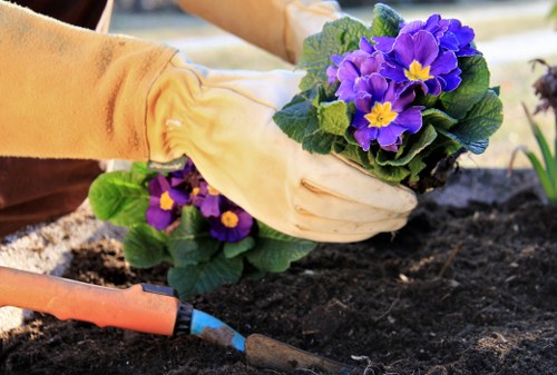 Community garden receiving donated soil and materials