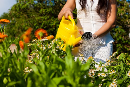 A woman wearing a white sleeveless top is watering a garden bed with a yellow watering can. The garden features a variety of flowering plants and shrubs with green foliage and orange flowers in the foreground. The background includes a lush hedge and taller trees, suggesting a well-maintained outdoor space. The ground appears to be a mix of soil and grass, with some paving stones partially visible. The scene takes place outdoors on a sunny day, as indicated by the bright lighting and clear weather, emphasizing the natural beauty of a typical suburban garden in Muswell Hill. The overall setting highlights gardening activities, including plant care and outdoor maintenance, which are part of the services provided by Gardening Services Muswell Hill.
