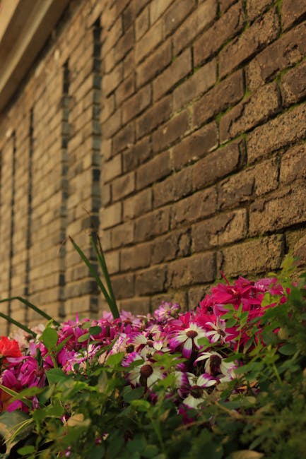 A close-up view of a garden bed filled with vibrant pink and purple flowering plants, including some with white and purple blooms, situated at the base of a weathered brick wall. The soil appears mois